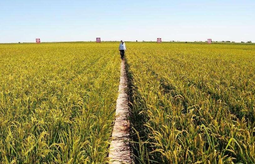 農(nóng)業(yè)氣象站