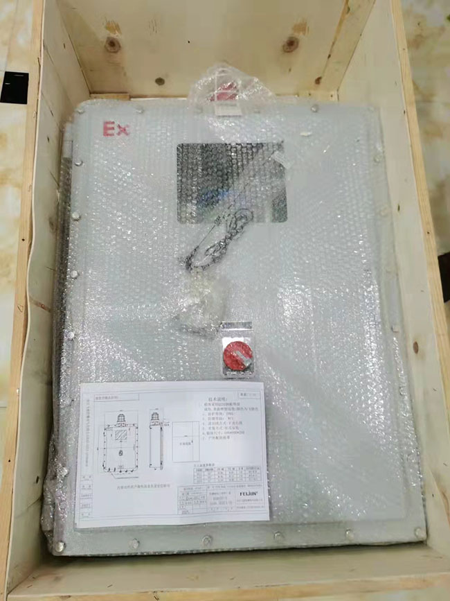 工業(yè)級(jí)防爆型二合一氣體檢測(cè)儀