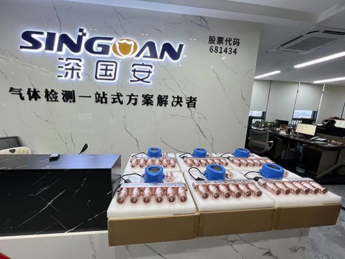 固定式氦氣檢測儀生產廠家