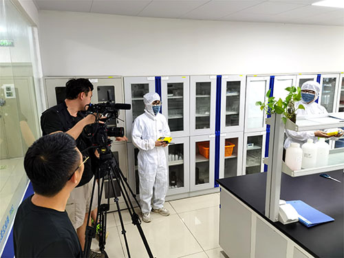 實驗室醋酸乙烯檢測儀應用案例